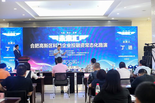 合肥高新區(qū)第七期科技企業(yè)投融資常態(tài)化路演圓滿舉行，軟件開發(fā)項(xiàng)目備受矚目